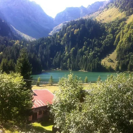 Appartement Le Petit Yeti I Abondance